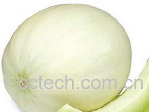 果蔬百科白兰瓜-0