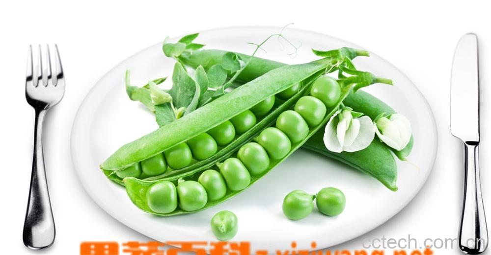 果蔬百科豌豆-0