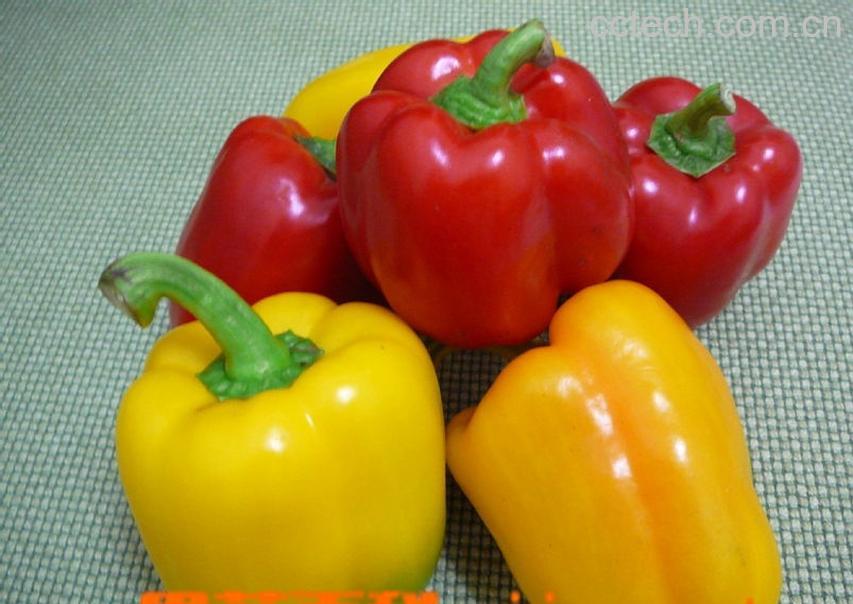 果蔬百科甜椒-0