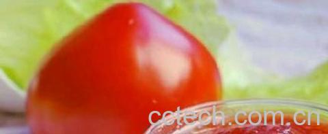 果蔬百科番茄酱-0