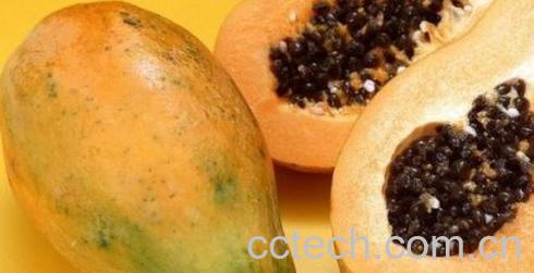 果蔬百科生木瓜的吃法-0