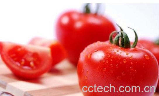 果蔬百科西红柿-0
