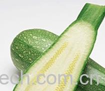 果蔬百科西葫芦-0