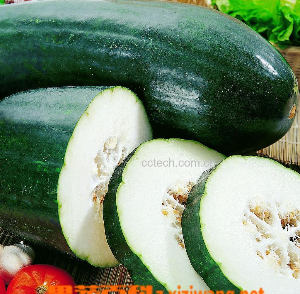 果蔬百科冬瓜-0