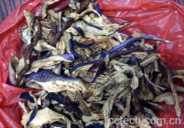 果蔬百科茄子干-0