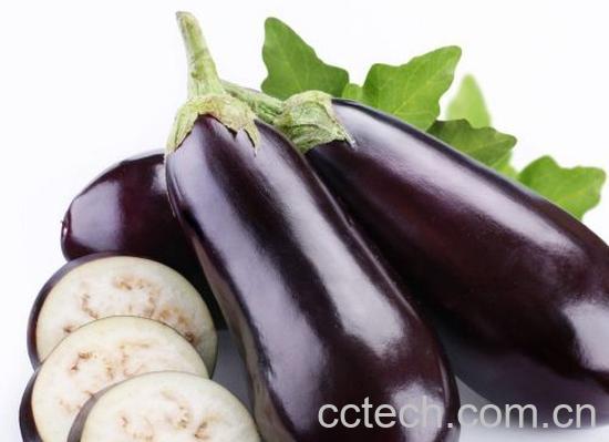 果蔬百科茄子-0