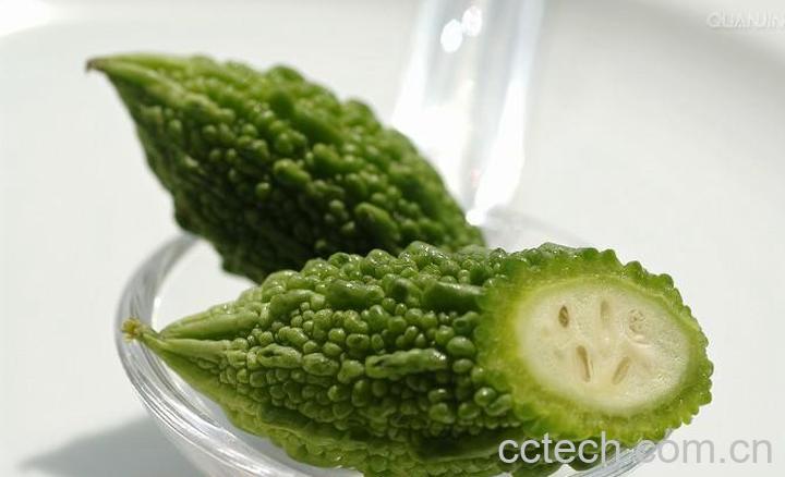 果蔬百科苦瓜-0