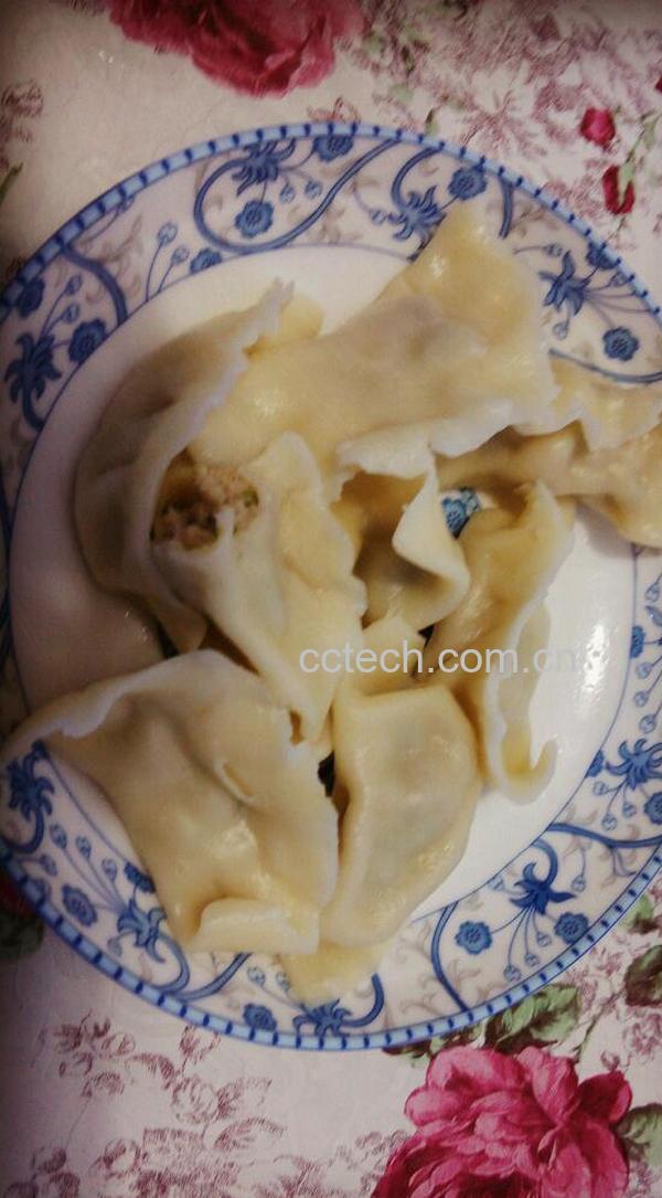 果蔬百科猪肉芹菜茄子水饺-0