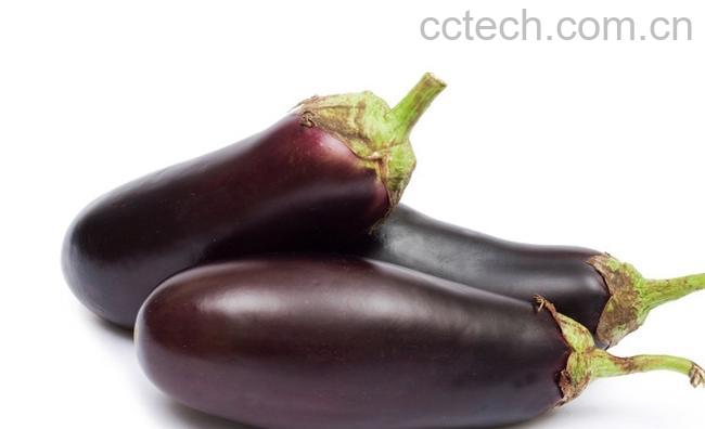 果蔬百科茄子-0