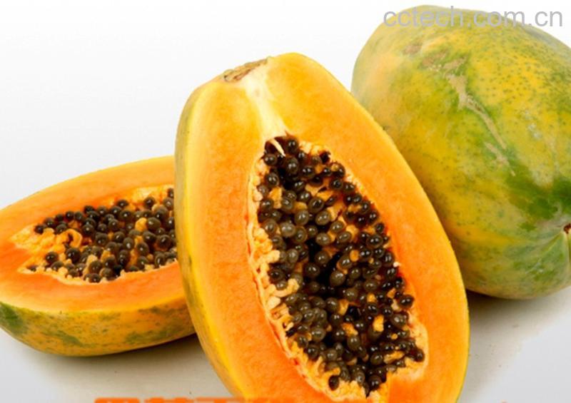 果蔬百科木瓜-0