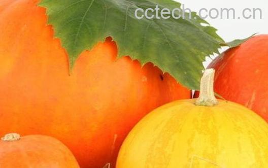 果蔬百科南瓜-0