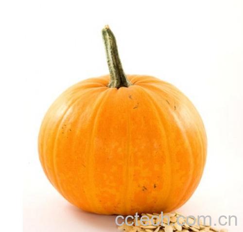 果蔬百科南瓜子-0