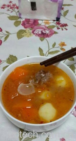 果蔬百科番茄牛腩汤-0