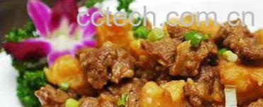 果蔬百科牛肉炖茄条-0