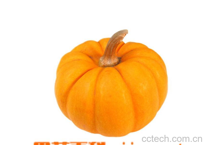 果蔬百科南瓜-0