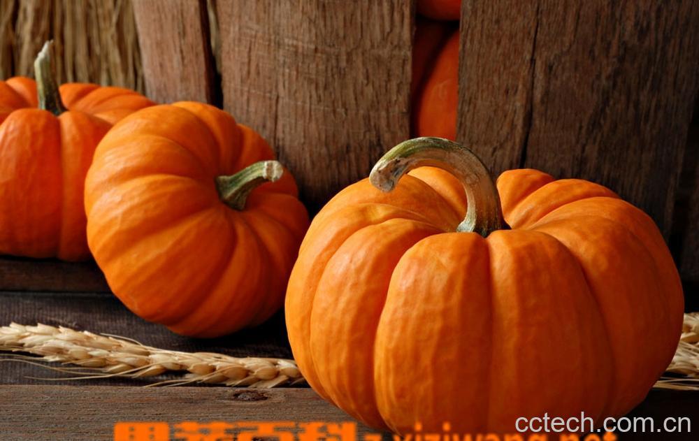 果蔬百科南瓜-0