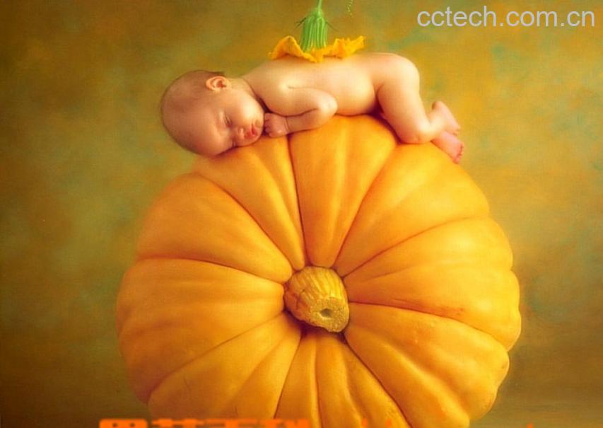 果蔬百科南瓜-0