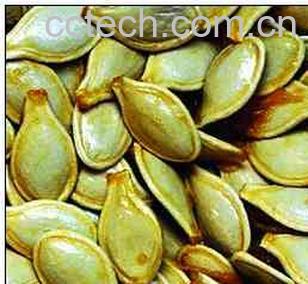 果蔬百科南瓜子-0