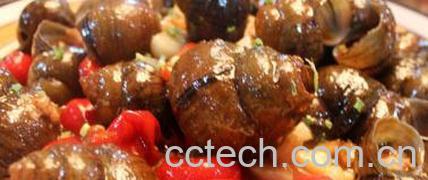 果蔬百科冬瓜竹笋鸡-0