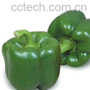 果蔬百科甜椒-0