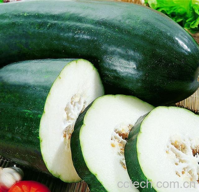 果蔬百科冬瓜-0