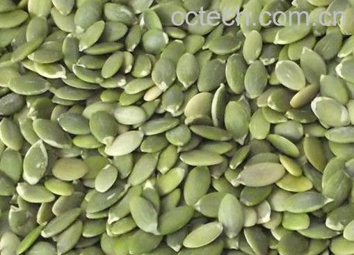 果蔬百科南瓜子-0