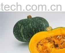 果蔬百科南瓜-0