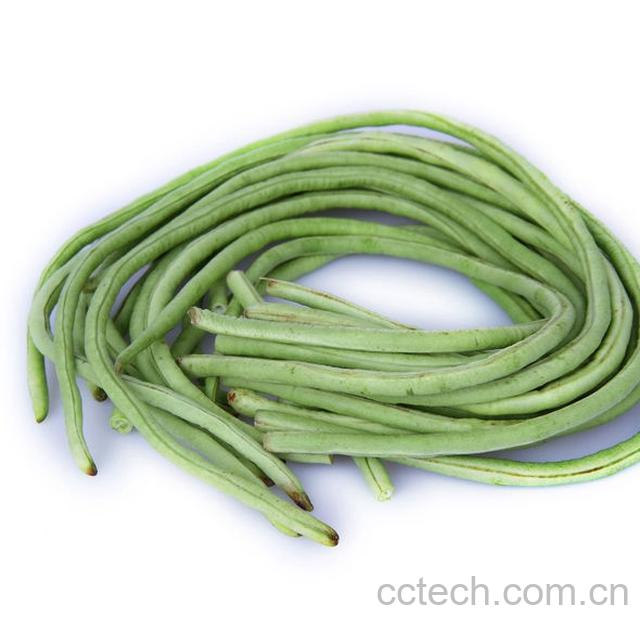 果蔬百科豇豆-0