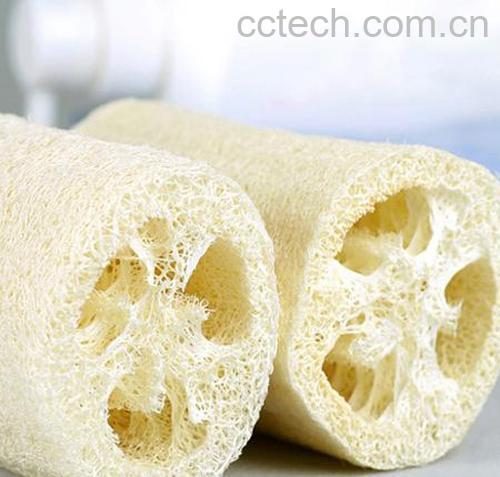 果蔬百科丝瓜络-0