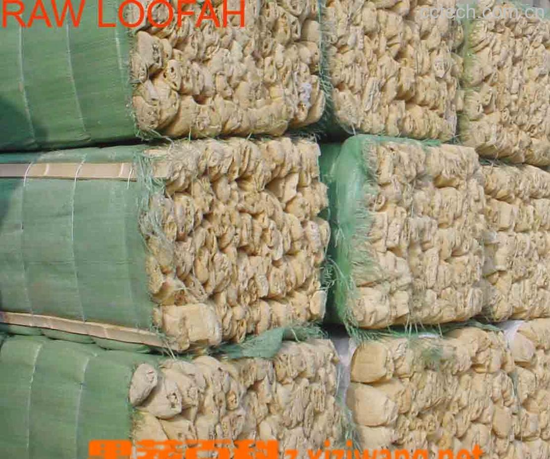 果蔬百科丝瓜络-0