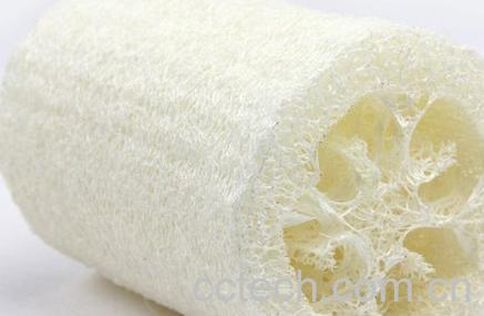 果蔬百科丝瓜络-0