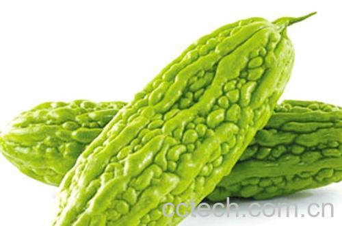 果蔬百科苦瓜-0