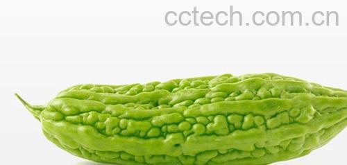 果蔬百科苦瓜-0
