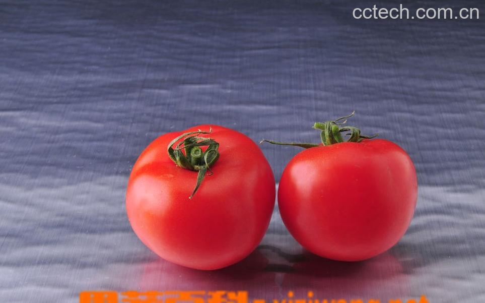 果蔬百科番茄-0