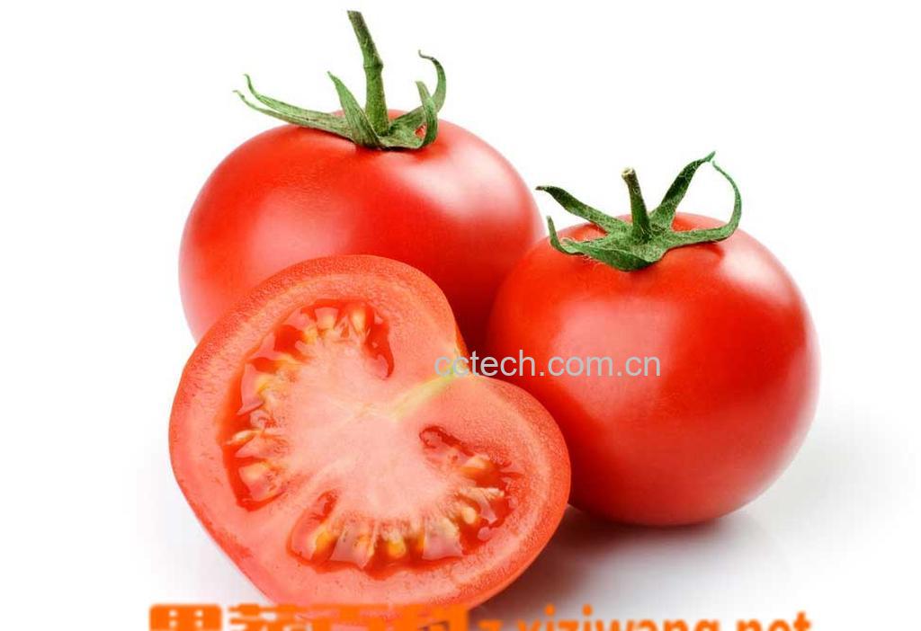 果蔬百科番茄-0