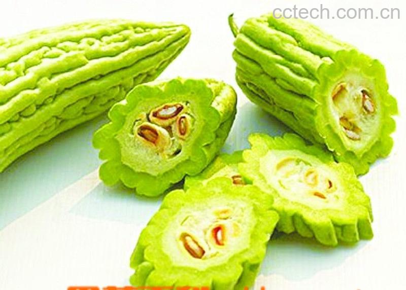 果蔬百科苦瓜-0