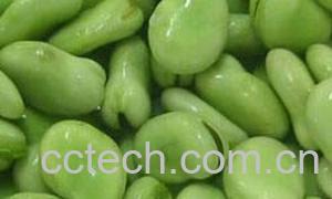 果蔬百科蚕豆-0