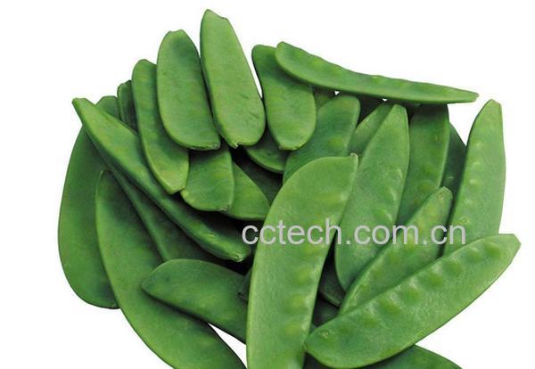 果蔬百科蚕豆-0