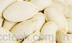 果蔬百科白南瓜子-0