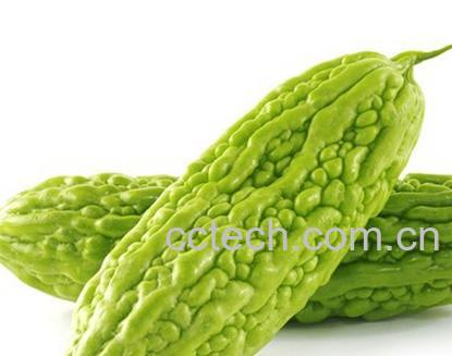 果蔬百科苦瓜-0