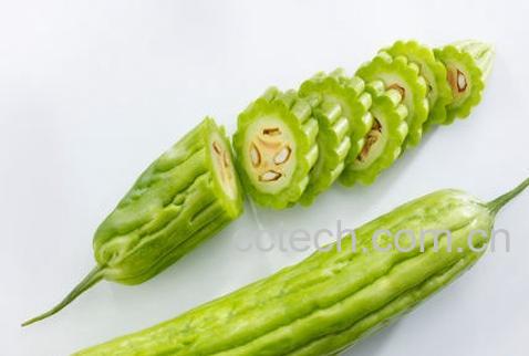 果蔬百科苦瓜-0