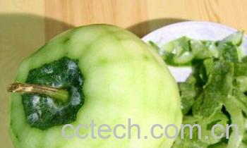 果蔬百科冬瓜皮-0