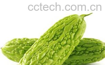 果蔬百科苦瓜-0