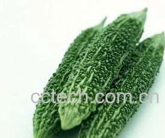 果蔬百科苦瓜-0