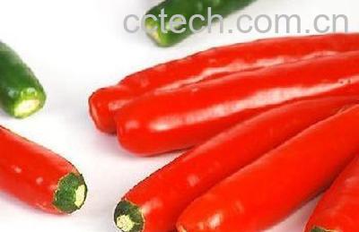 果蔬百科辣椒-0