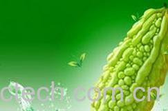 果蔬百科苦瓜-0