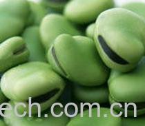 果蔬百科蚕豆-0