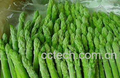 果蔬百科新鲜芦笋-0