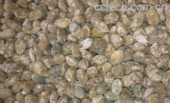 果蔬百科中国黄豆酱-0