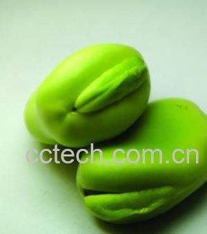 果蔬百科蚕豆-0